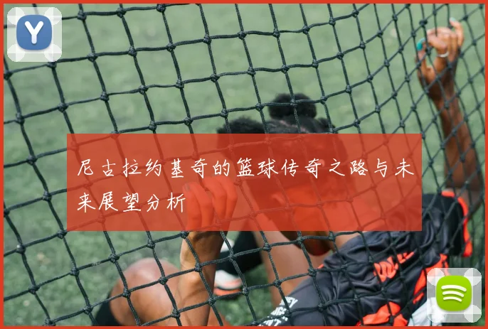 尼古拉约基奇的篮球传奇之路与未来展望分析