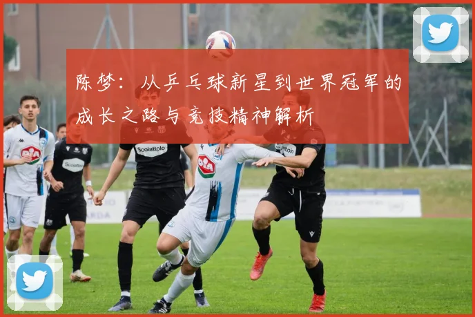 陈梦：从乒乓球新星到世界冠军的成长之路与竞技精神解析