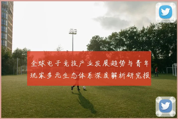 全球电子竞技产业发展趋势与青年玩家多元生态体系深度解析研究报