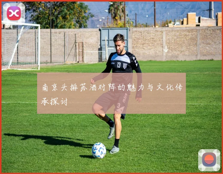 南京头排苏酒对阵的魅力与文化传承探讨