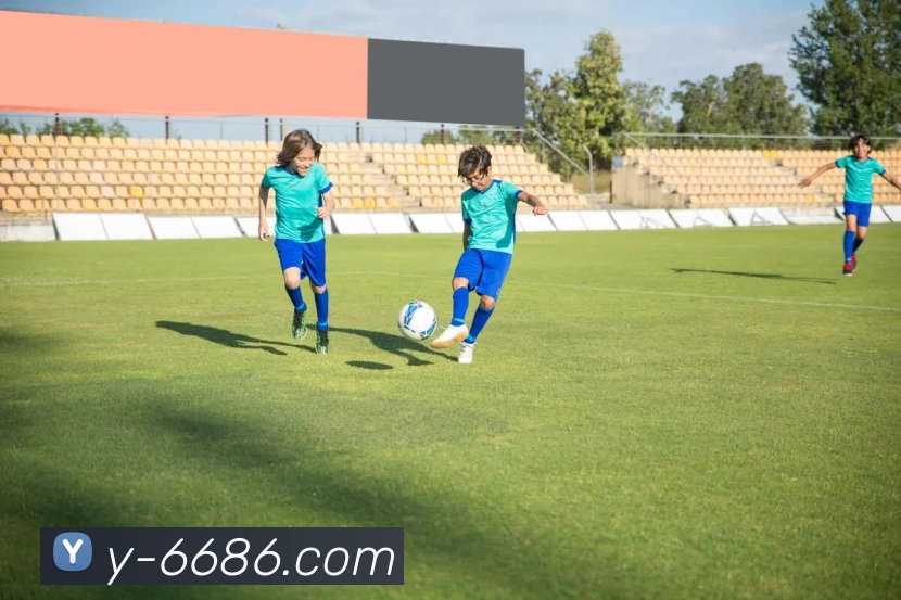 多媒体互动体验